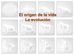 El origen de la vida La evolución
