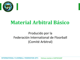 international floorball federation