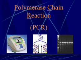 Fundamentos PCR - Genética Molecular
