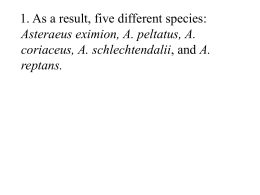 As a result, five different species: Asteraeus eximion, A. peltatus, A