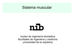 SistemaMuscular_2010 - núcleo de ingeniería biomédica