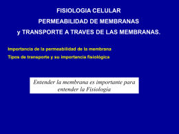 Transporte de membrana a