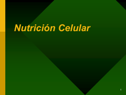 El Nuevo Programa de Nutrición Celular