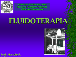 Fluidoterapia - Facultad de Ciencias Veterinarias