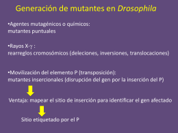 Diapositiva 1 - genoma . unsam . edu . ar