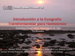 Introducción a la Ecografía Transfontanelar para Residentes