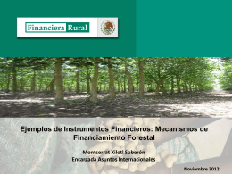 Programa de Inversión Forestal