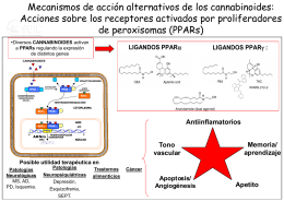 PPT - Sociedad Española de Investigación sobre Cannabinoides