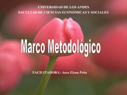 METODOLOGIA 1 Marco Metodológico