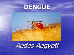 DENGUE