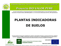 Plantas indicadoras