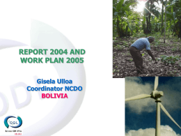 Report 2004 and Work Plan 2005, Bolivia