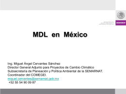 MDL en México