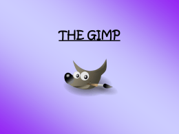 THE GIMP