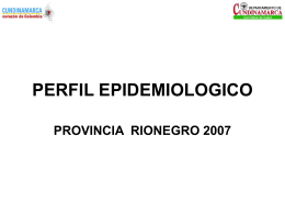 perfil epidemiologico provincia rionegro 2007