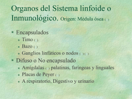 Organos del Sistema linfoide o Inmunológico