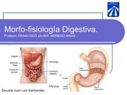 Tema 3: Anatomía y fisiología del Aparato Digestivo