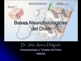 Bases Neurofisiológicas del Dolor