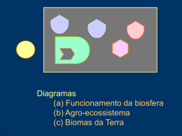 Elaboração do diagrama da Biosfera