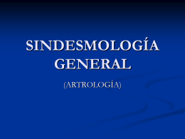 SINDESMOLOGÍA GENERAL - anatomiayplastinacion