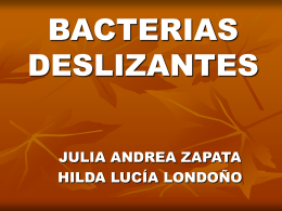 BACTERIAS DESLIZANTES