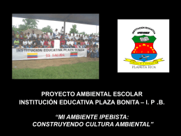 proyecto ambiental escolar institución educativa plaza bonita