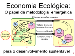 O papel da Economia Ecológica.