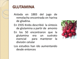 glutamina