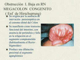 Obstrucción I. Baja en RN MEGACOLON CONGENITO ( Enf de