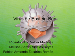 Virus de Epstein-Barr