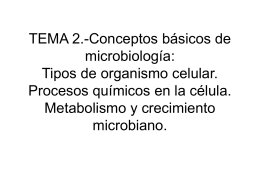 TEMA 2.-Conceptos básicos de microbiología: Tipos de organismo
