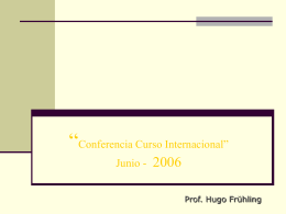 Hugo Fruhling - Seminario Internacional