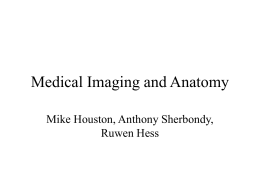 Medical Imaging and Anatomy - Computer Graphics Laboratory