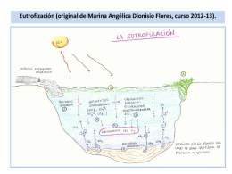 Eutrofización (original de Marina Angélica Dionisio Flores, curso