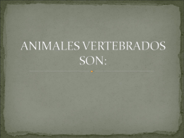 ANIMALES VERTEBRADOS