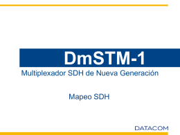 DmSTM-1_mapeo_SDH_rev_01_esp