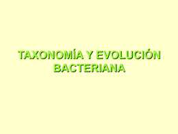 2.-Taxonomia bacterias