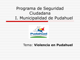 Programa de Seguridad Ciudadana I. Municipalidad de Pudahuel
