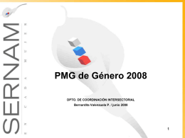 PMG de Género 2008