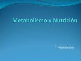 Metabolismo y Nutrición