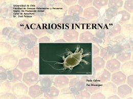 Acariosis Interna 2002