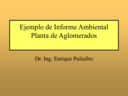 Informe Ambiental Planta de aglomerados Cuyoplacas