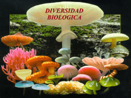 DIVERSIDAD BIOLOGICA - fundamentosdebiologia