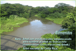 Presentationkuru - Tecnológico de Costa Rica
