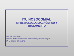 ITU Nosocomial. Epidemiología, diagnóstico y tratamiento