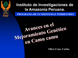 Mayor Vitamina “C” - Instituto de Investigaciones de la Amazonía
