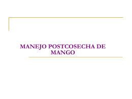 (POSTCOSECHA DE MANGO).