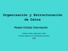 5.4. Modelo Entidad Interrelación 2010