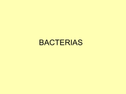 1. Bacterias
