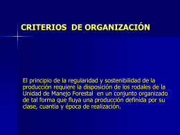 CRITERIOS DE ORGANIZACIÓN